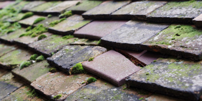 Stelvio roof repair costs